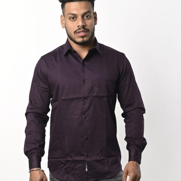 Men Purple Shirt